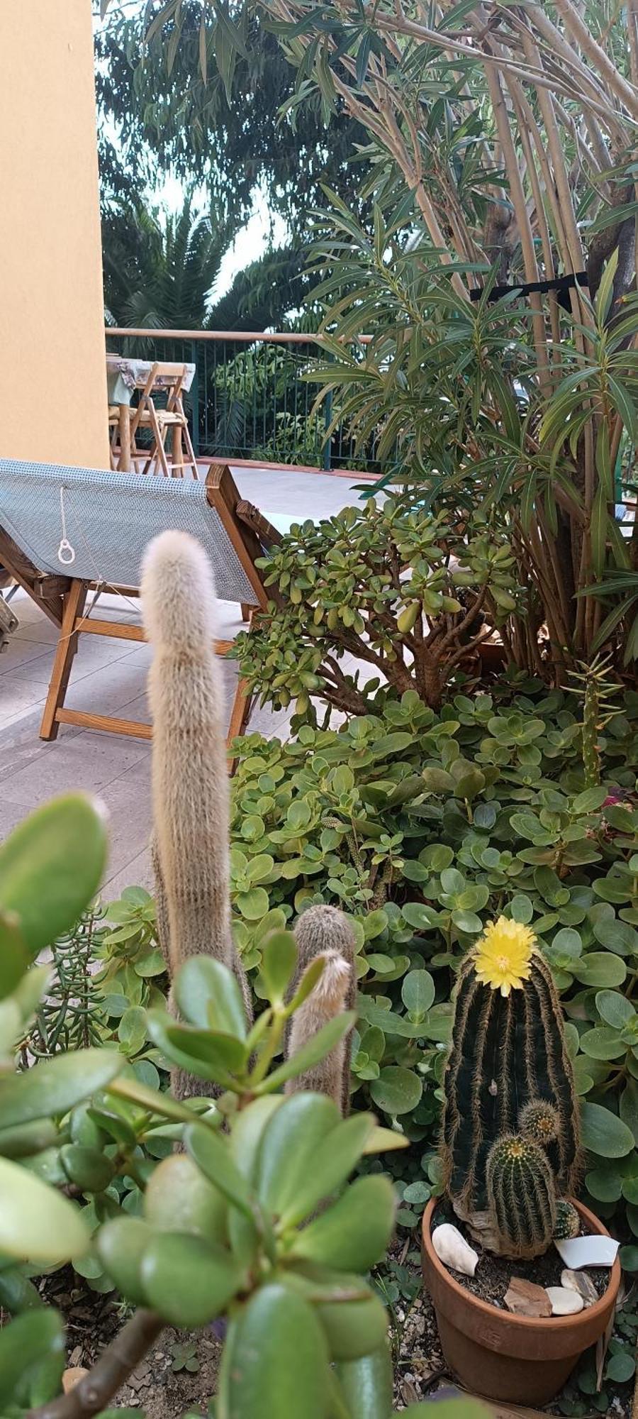 Casa Di Claude Con Posto Auto Daire Finale Ligure Dış mekan fotoğraf
